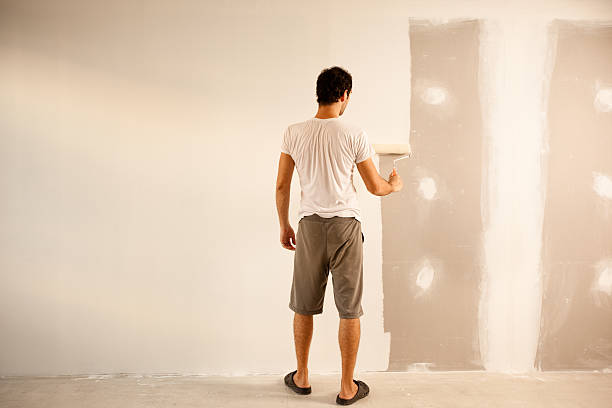 Best Drywall Sanding and Smoothing  in Caryville, TN